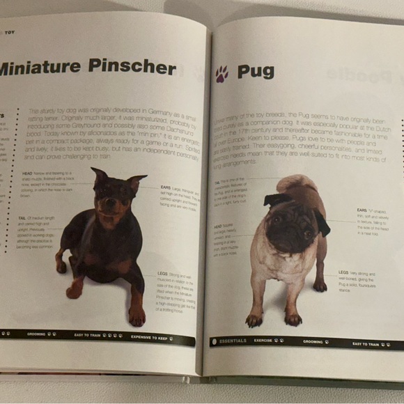 Dogs: From Extremely Large to Very Small • Igloo Books Hardcover Photo Guide - Picture 10 of 16